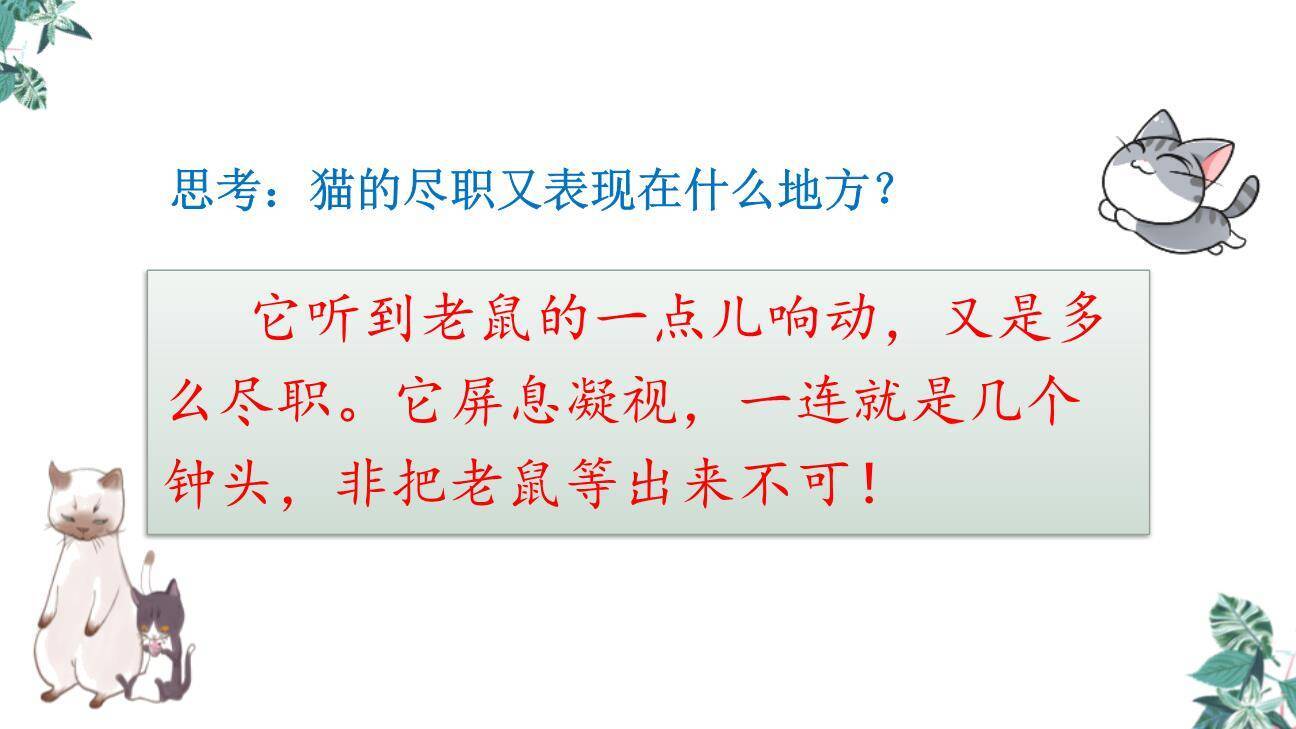 猫PPT课件57