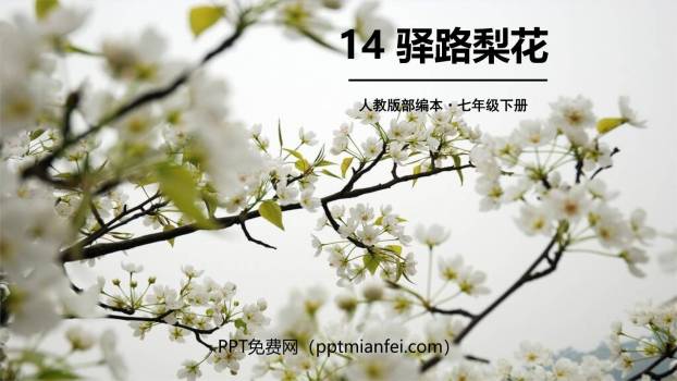 驿路梨花PPT课件40