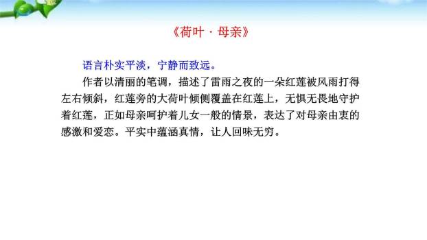 荷花母亲PPT课件36