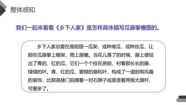 我的乐园PPT课件24