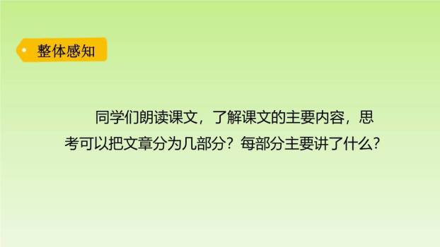 一只窝囊的大老虎PPT课件66