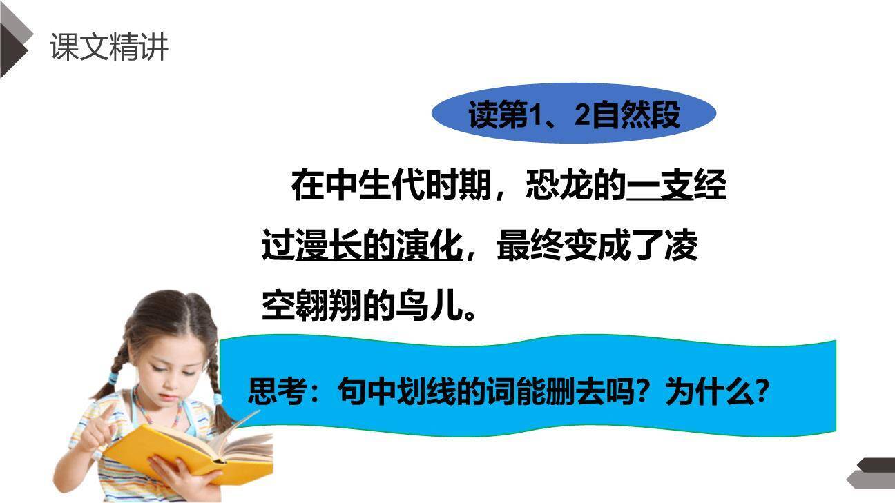 飞向蓝天的恐龙PPT课件29