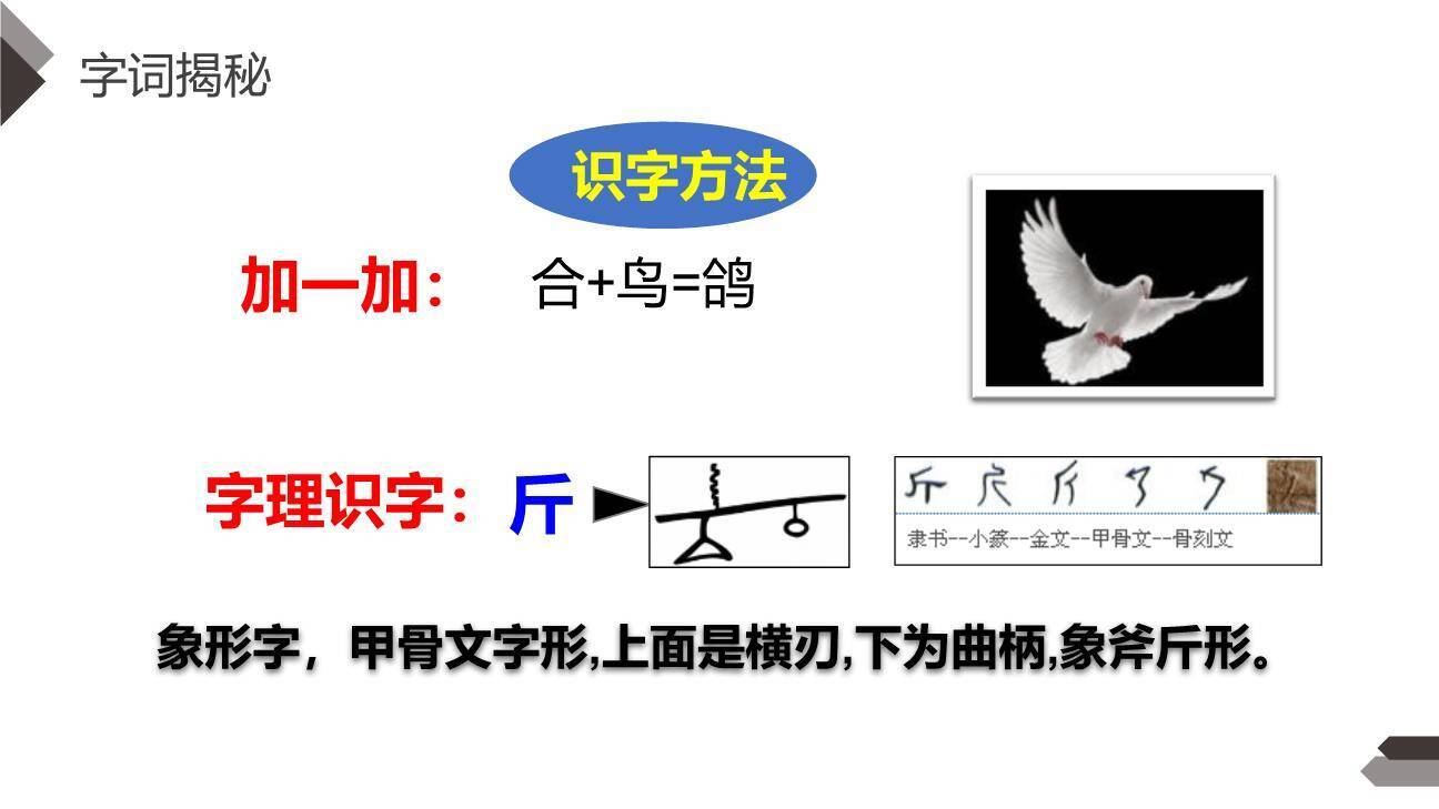 飞向蓝天的恐龙PPT课件21