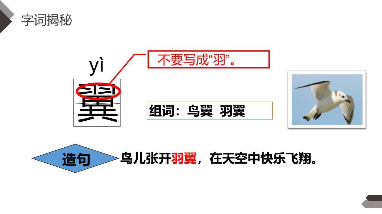 飞向蓝天的恐龙PPT课件23