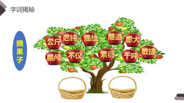 飞向蓝天的恐龙PPT课件25