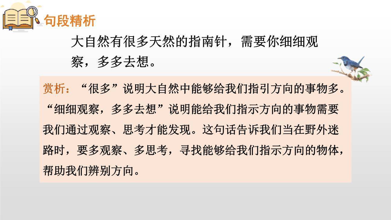 要是你在野外迷了路PPT课件38