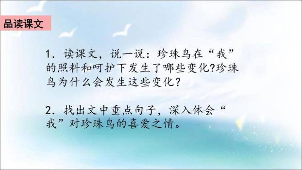 珍珠鸟PPT课件48