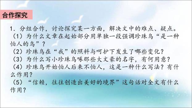 珍珠鸟PPT课件49