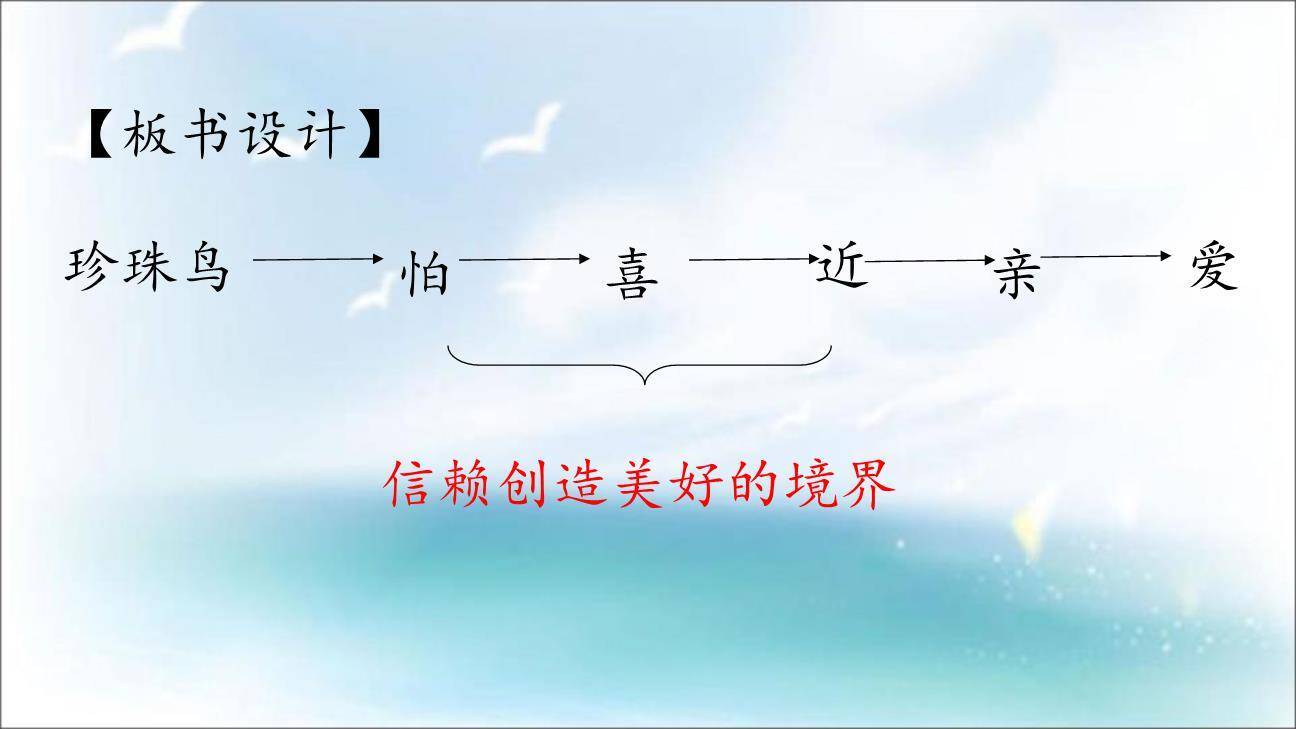 珍珠鸟PPT课件42