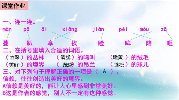 珍珠鸟PPT课件43