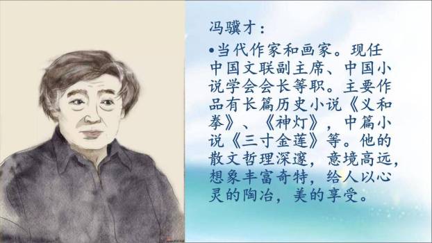 珍珠鸟PPT课件45