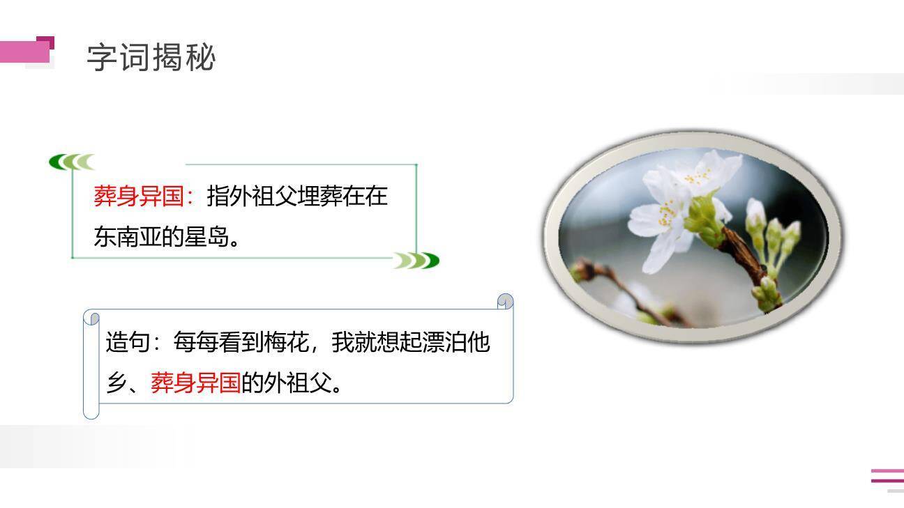 梅花魂PPT课件85