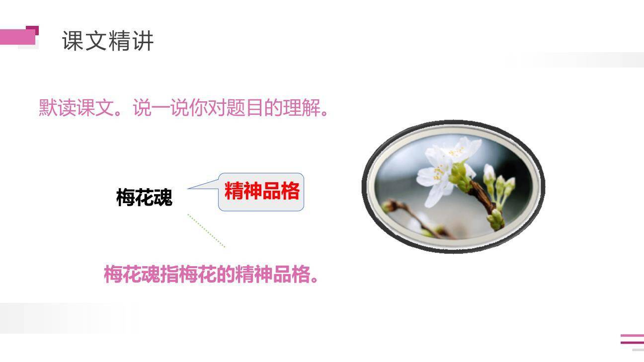 梅花魂PPT课件87