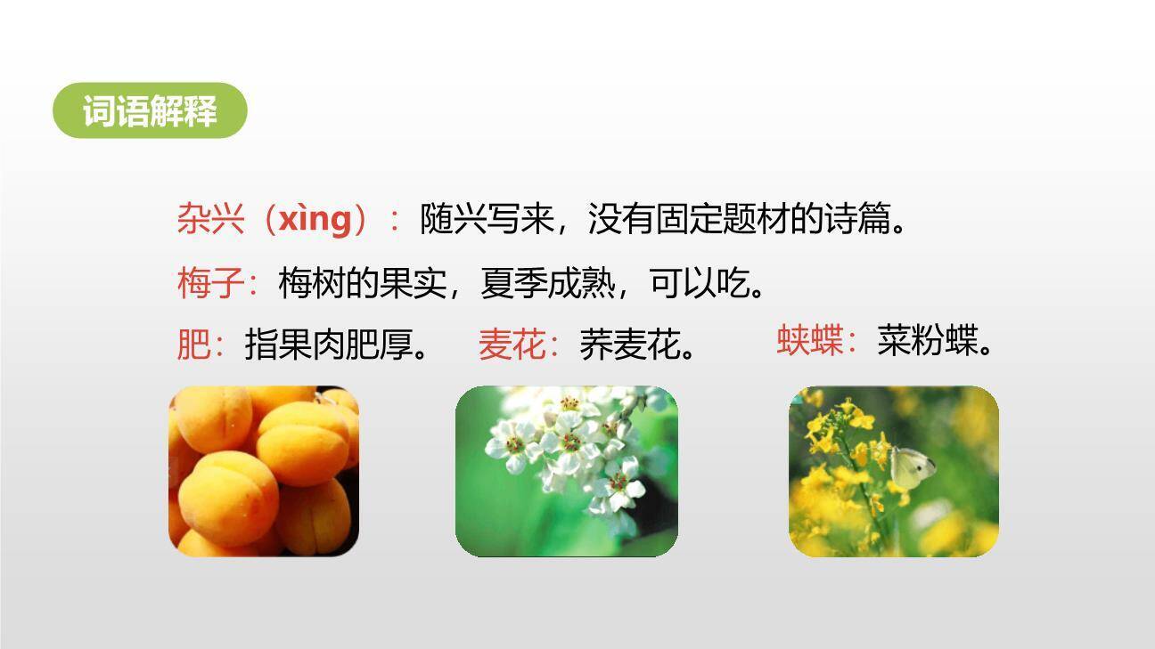 古诗词三首PPT课件39