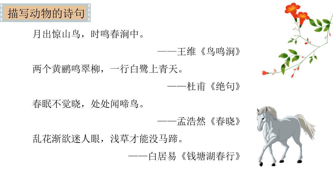 小小动物园PPT课件38