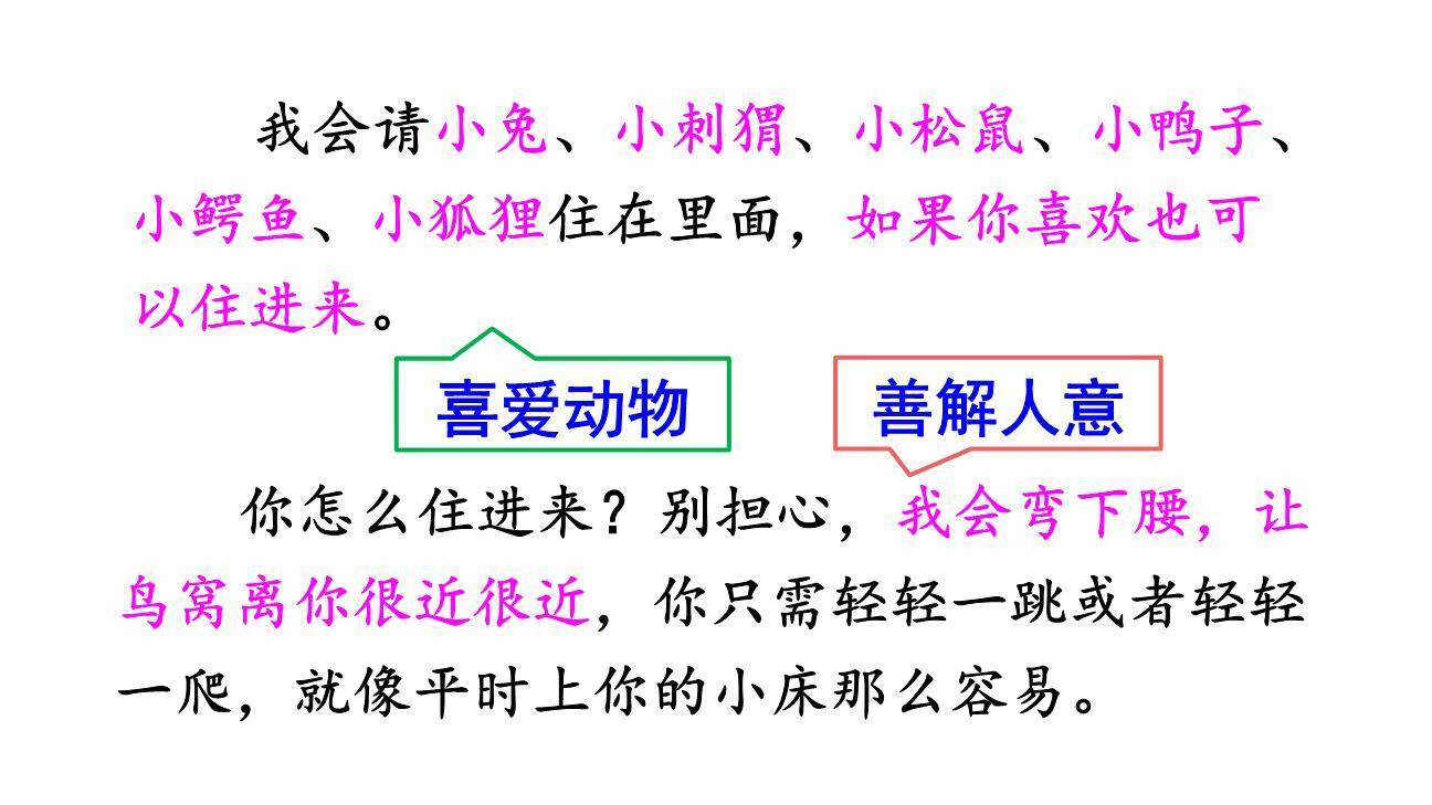 我变成了一棵树PPT课件78