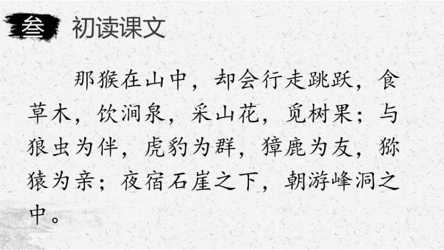 猴王出世PPT课件58