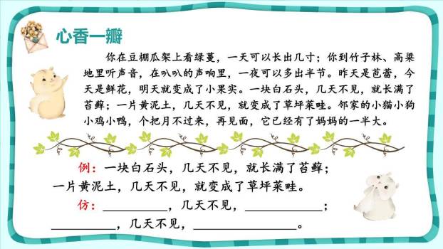 夏天里的成长PPT课件16