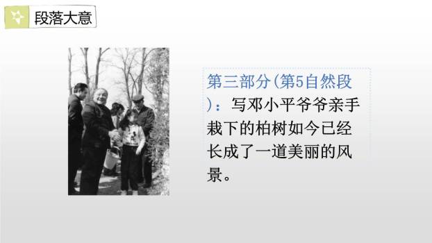 邓小平爷爷植树PPT课件29