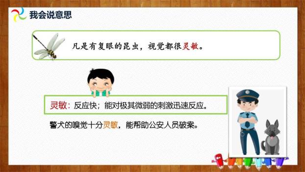 昆虫备忘录PPT课件49