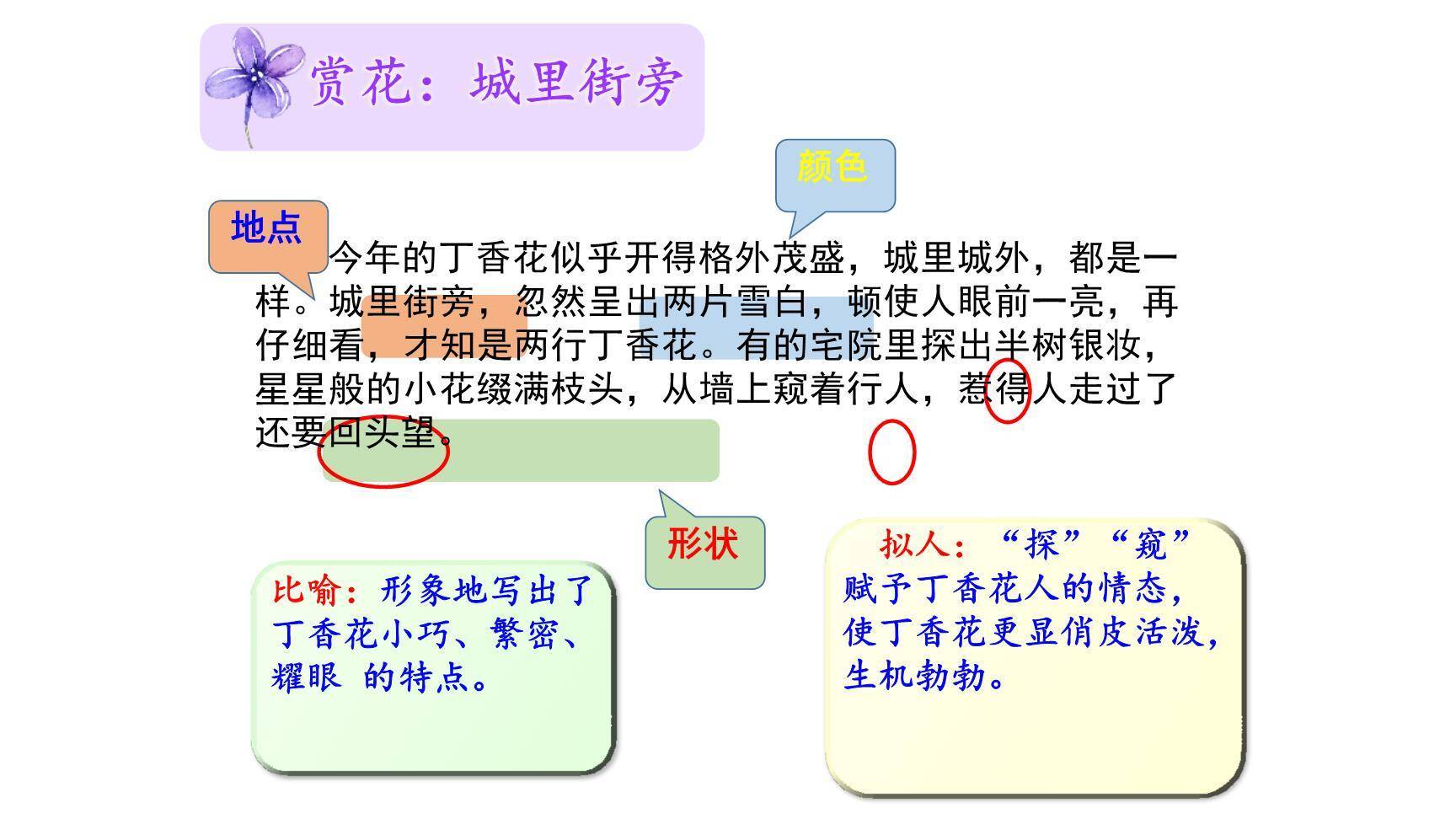 丁香结PPT课件68