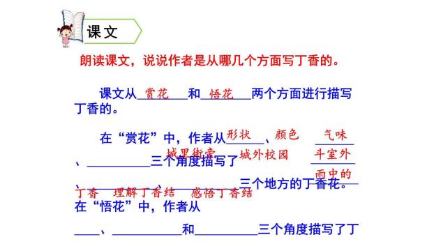 丁香结PPT课件66