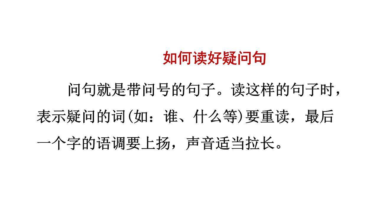 动物王国开大会PPT课件35