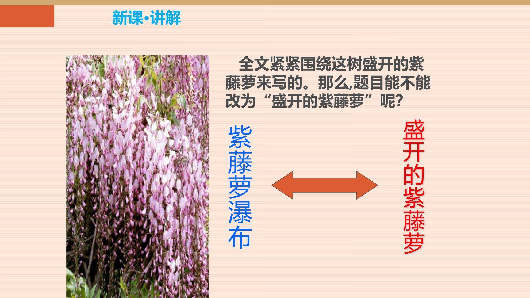 紫藤萝瀑布PPT课件68