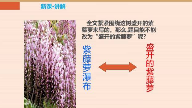 紫藤萝瀑布PPT课件68