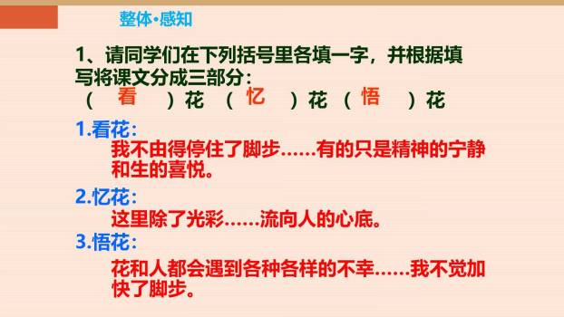 紫藤萝瀑布PPT课件64