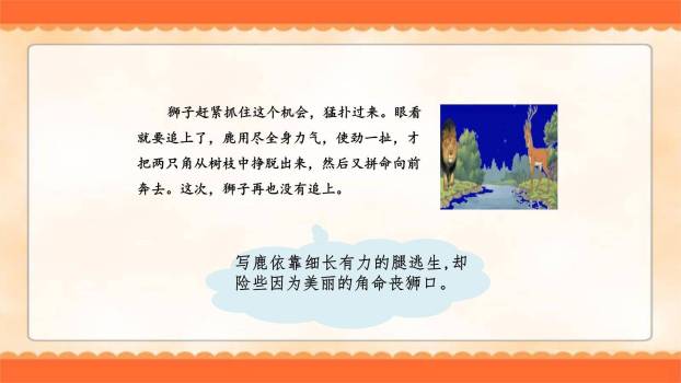 狮子和鹿PPT课件16