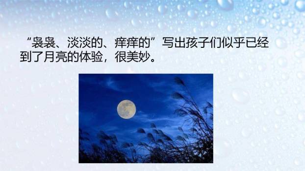 月迹PPT课件11