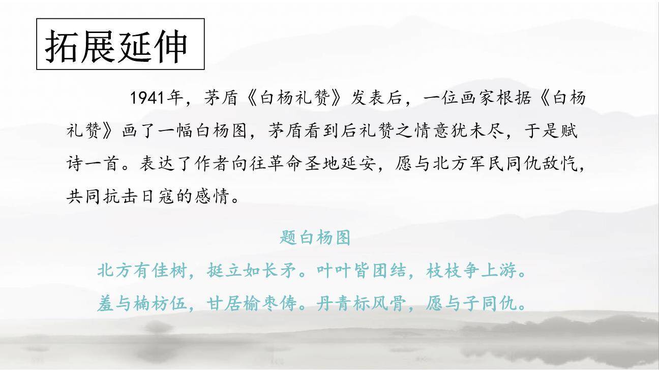 白杨礼赞PPT课件13