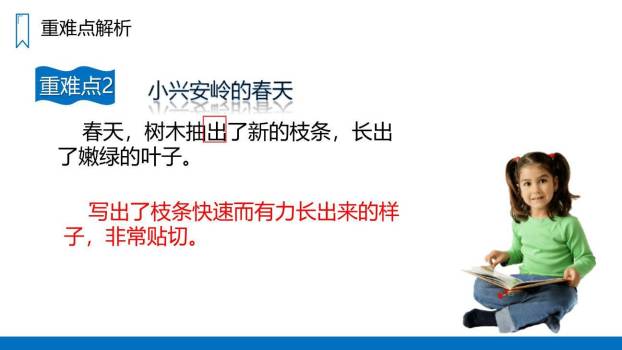 美丽的小兴安岭PPT课件69