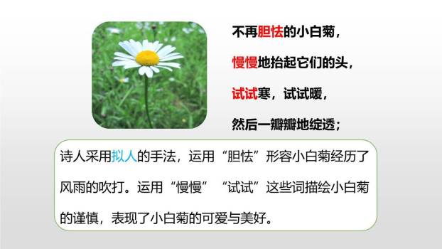 在天晴了的时候PPT课件59