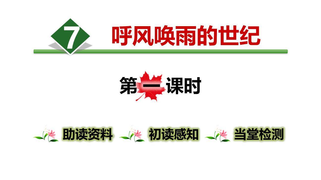 呼风唤雨的世纪PPT课件80