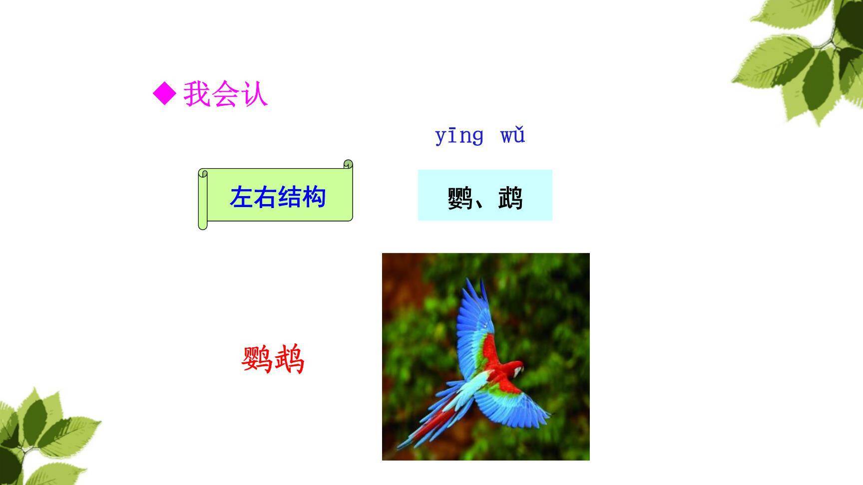 搭船的鸟PPT课件68