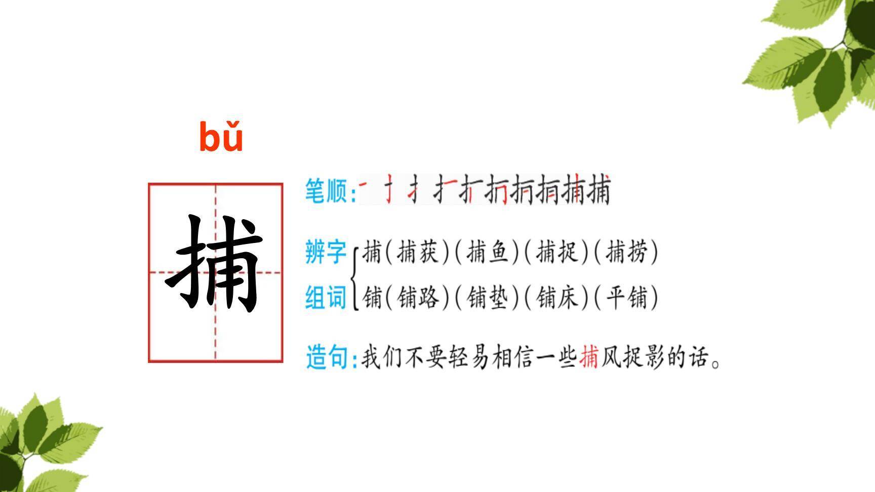 搭船的鸟PPT课件67