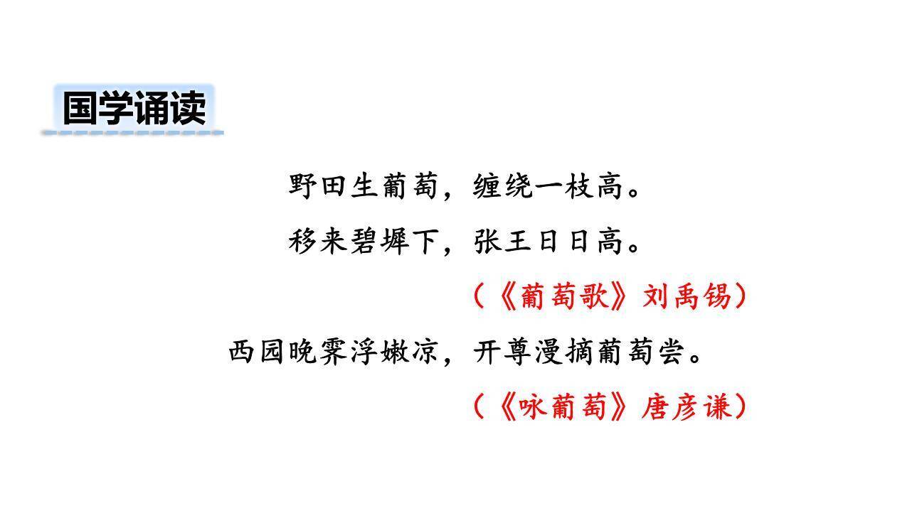 葡萄沟PPT课件18