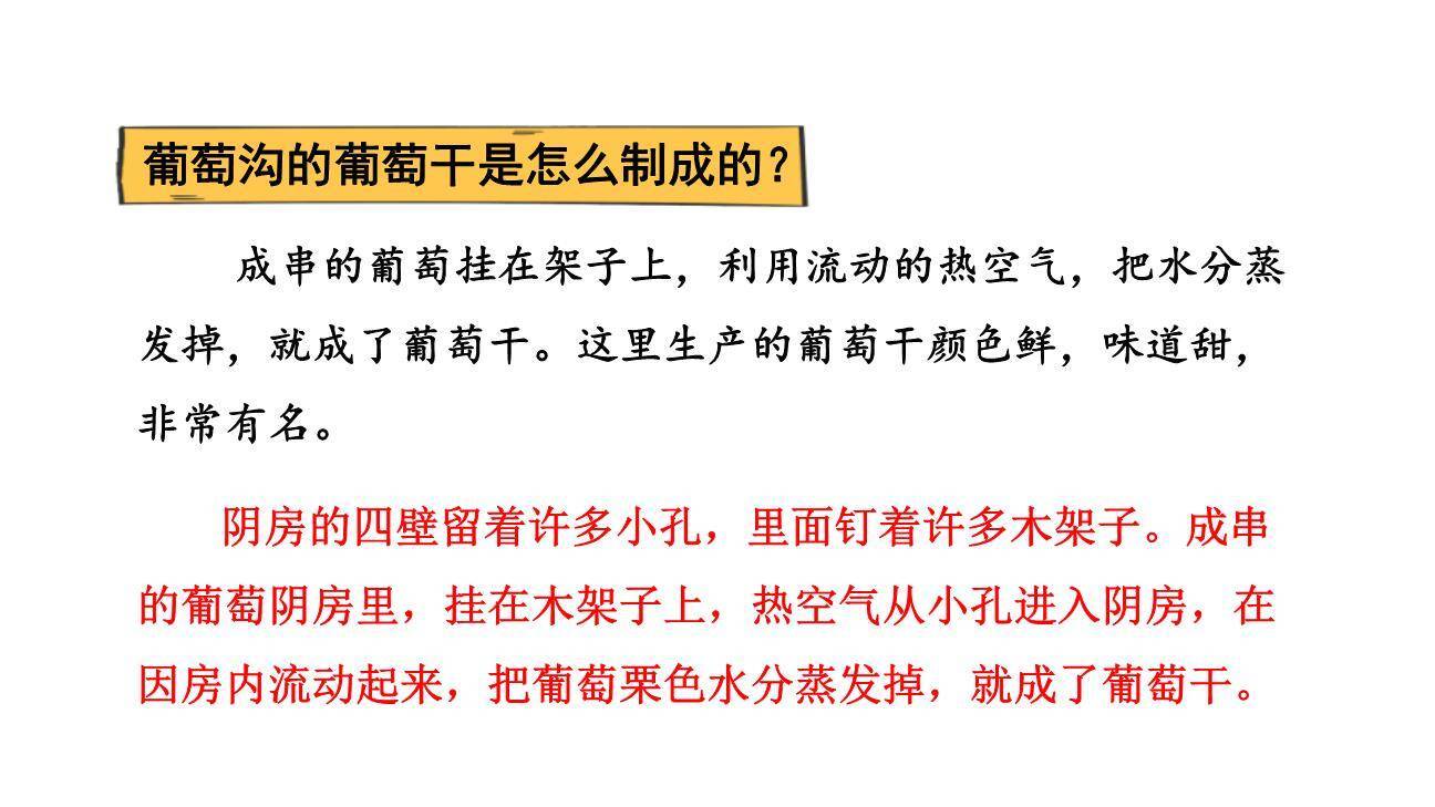 葡萄沟PPT课件13