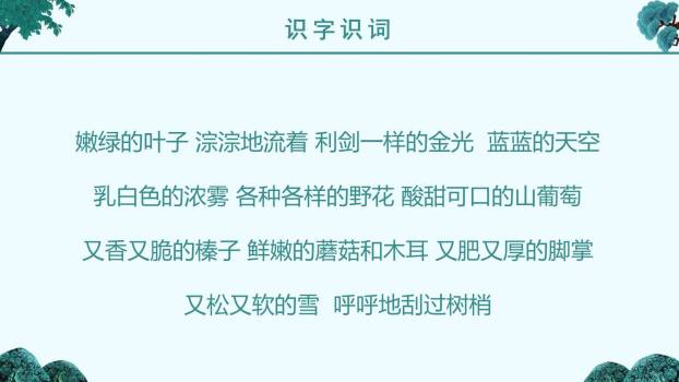 美丽的小兴安岭PPT课件21