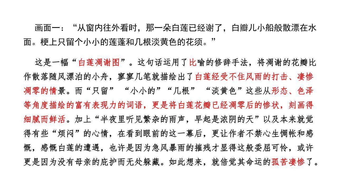 荷花母亲PPT课件53