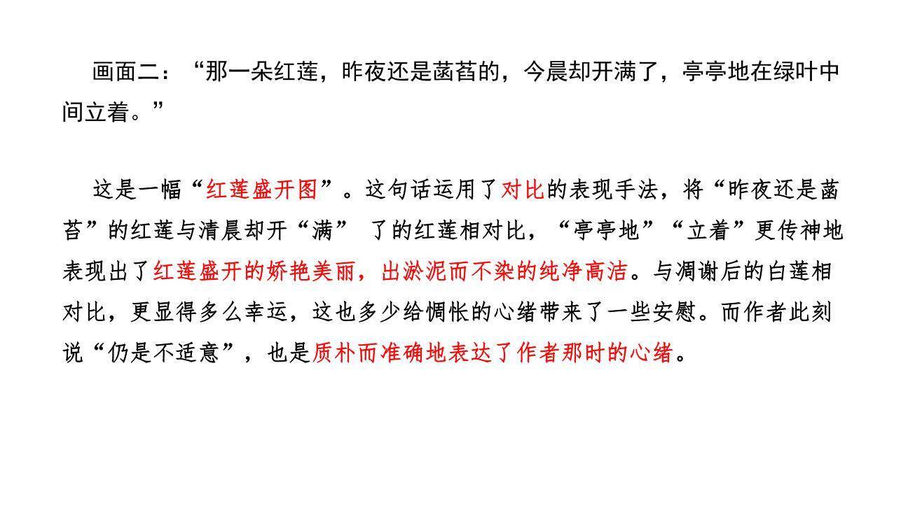 荷花母亲PPT课件54