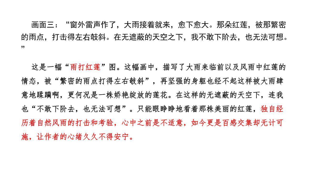 荷花母亲PPT课件55