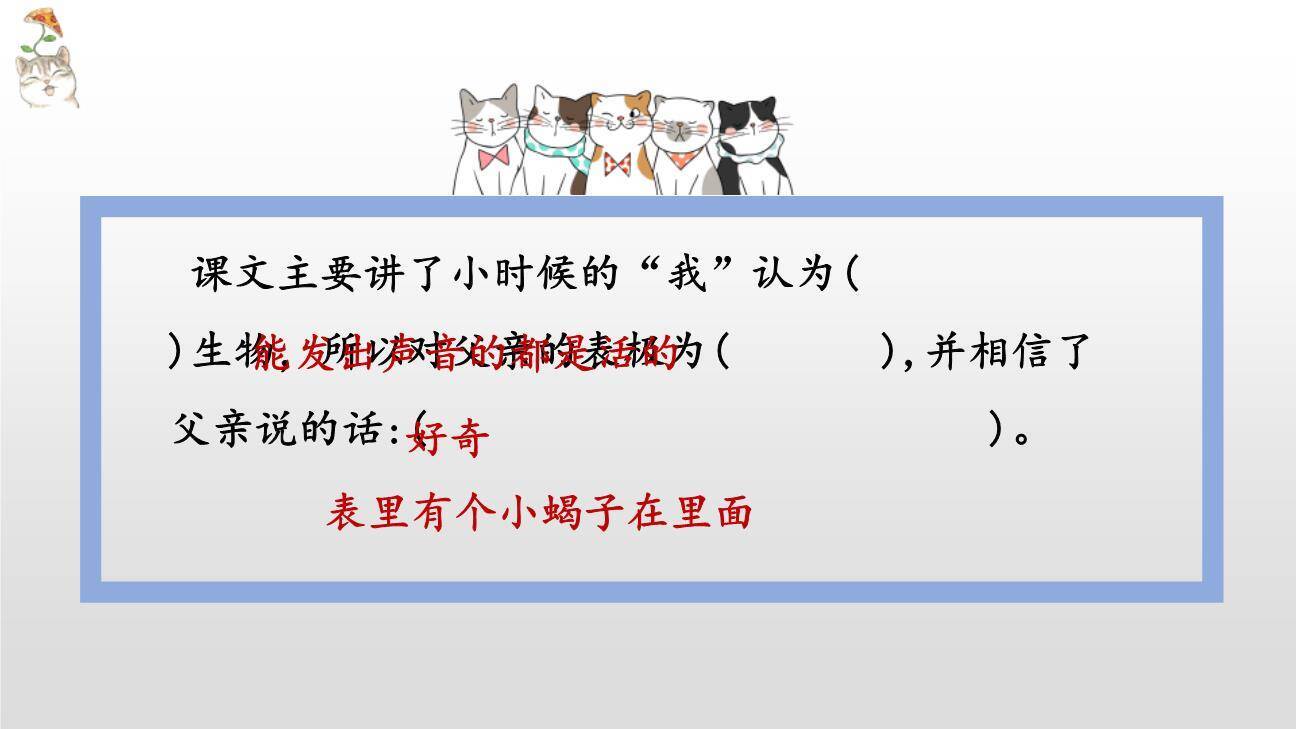 表里的生物PPT课件75