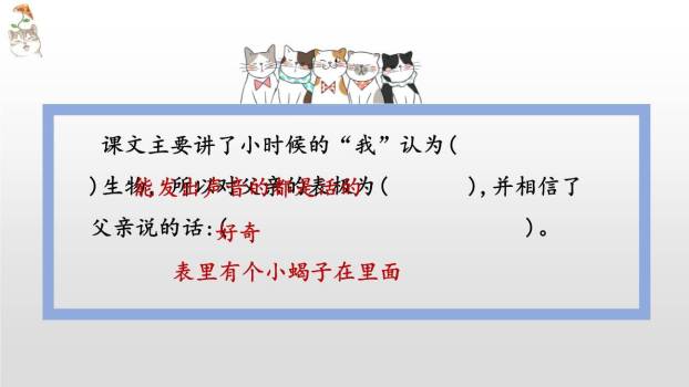 表里的生物PPT课件75