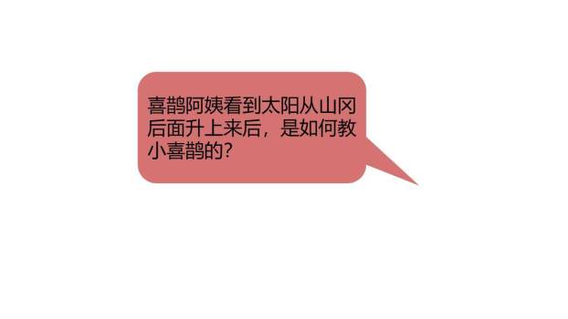 枫树上的喜鹊PPT课件55