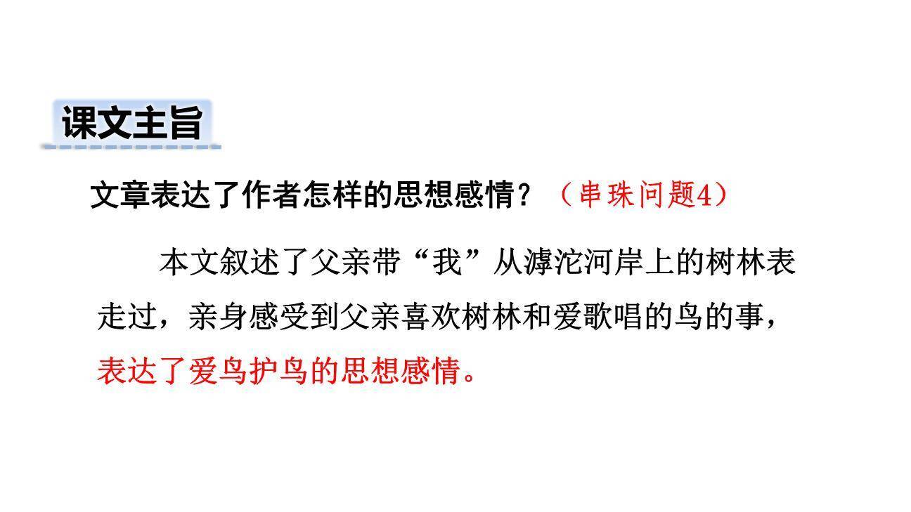 父亲树林和鸟PPT课件78