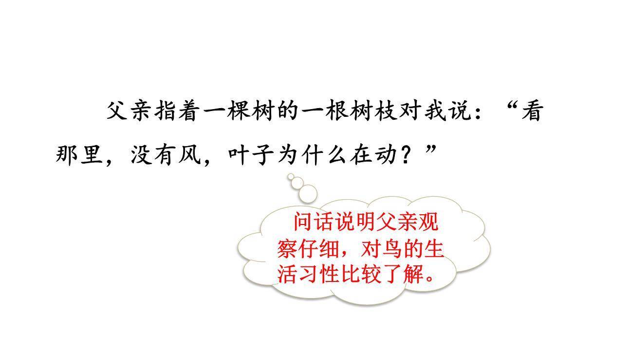 父亲树林和鸟PPT课件71