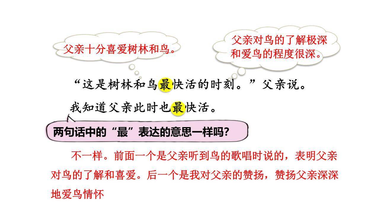 父亲树林和鸟PPT课件74